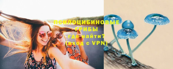 мяу мяу мука Семилуки