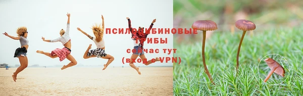 ALPHA-PVP Вязьма