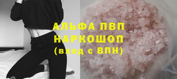 ПСИЛОЦИБИНОВЫЕ ГРИБЫ Вязники
